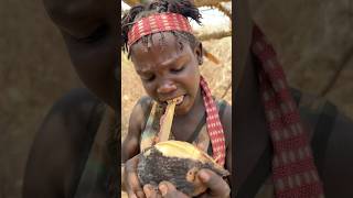 Living off the land A glimpse into the Hadza diet with wild roots [upl. by Dripps]