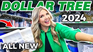 20 Things you SHOULD Be Buying at Dollar Tree in January 2024 [upl. by Herr629]