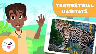 Explore Terrestrial Habitats  Types of Habitats for Children [upl. by Lledo]