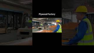 Plywood manufacturersPlywood pricePlywood from China [upl. by Lebana332]