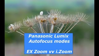 Panasonic Lumix FZ1000 Autofocus and i Zoom Explained [upl. by Helenka]