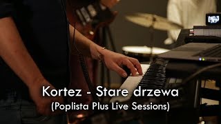 Kortez  Stare Drzewa Poplista Plus Live Sessions [upl. by Arretahs]