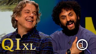 QI Series 18 XL Quads amp Quins  With Aisling Bea Nish Kumar amp David Mitchell [upl. by Drallim543]