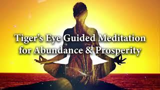 Tigers Eye Guided Meditation for Abundance and Prosperity Healing [upl. by Akiehs]