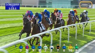 Race 3 Dubai Gold Cup Sponsored By Al Tayer Motors [upl. by Sanyu]