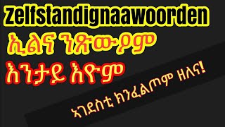 Nederland  Tigrigna  ሓኤ 19 [upl. by Aggi]