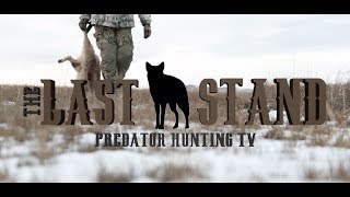 Winter Coyotes in the Sandhills of Nebraska  S1E1 [upl. by Salome]