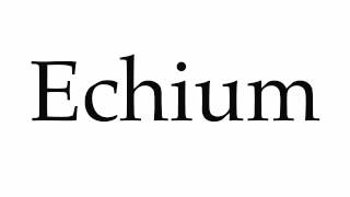 How to Pronounce Echium [upl. by Pain]