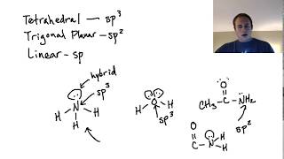 Are Lone Pairs in Hybrid Orbitals sp2 confusion [upl. by Htebazie]