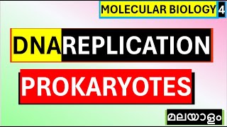 DNA replication Prokaryotes Malayalam Biochemistry Malayalam Molecular biology Malayalam [upl. by Odnarb383]