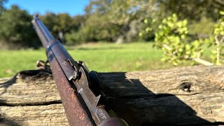 Texas Hog hunt with Italian Carcano rifle [upl. by Bouchard]