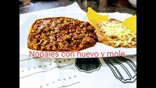 como cocinar nopales con huevo y mole en olla de vidrio visions cosinando cosas diferentes [upl. by Benni]