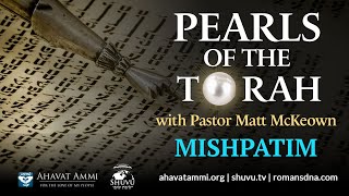 Pearls of the Torah for Parashat Mishpatim [upl. by Ecinaej571]