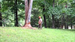 Cutting A Dangerous White Oak School Marm [upl. by Des]