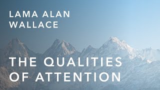 Shamatha Meditation for Balanced Living  The Qualities of Attention [upl. by Ariem]