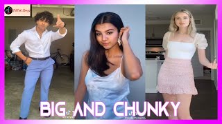 Big and Chunky TikTok Dance Compilation August 2020 Will I Am  Big and Chunky [upl. by Adianes]