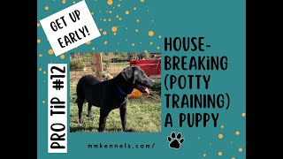 How to POTTY TRAIN  HOUSEBREAK Your Puppy in 3 WEEKS or LESS Tip 12 [upl. by Anatnas]