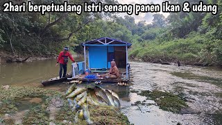 2 hari di atas rakit tengah sungai istri senang panen ikan udang melipah [upl. by Nedyah230]