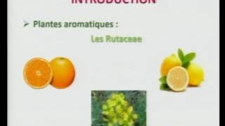 Huiles essentielles en aromathérapie  mythe ou réalité  par Mélanie Poivre UMONS [upl. by Elliott296]