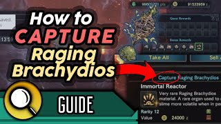 CAPTURING Raging Brachydios  Detailed TutorialTips and ResultsRewards  MHW Iceborne [upl. by Lewanna130]