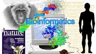 Bioinformatics part 1 What is Bioinformatics [upl. by Strader6]