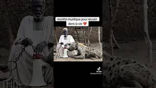 recettes mystiques du cheval tradition cotedivoire burkinafaso afrique spiritualité santé [upl. by Nive]