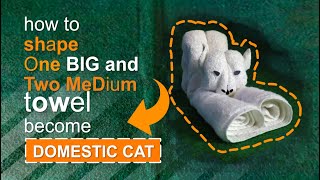 Towel design tutorial  One big and medium towel to design a Domestic Cat Bali [upl. by Mordecai709]