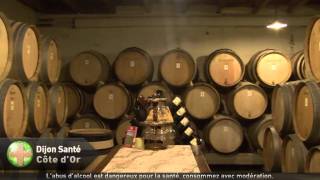 les secrets du vin de Bourgogne [upl. by Segalman782]