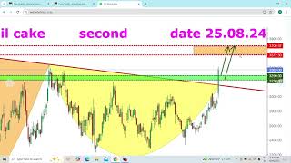 COTTONSEED OIL CAKE NCDEX BLASTED TRADING CHART INVESTMENT EDUCATION FORECAST UPDATE [upl. by Nyrak]