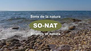 Son relaxant de la nature  Vagues sur une plage de galets en Méditerranée [upl. by Notsahc]