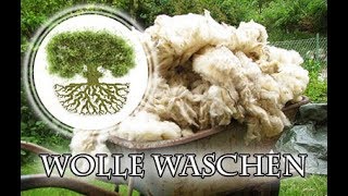 Wolle waschen Wollwäsche mit Rohwolle vom Schaf  Spinnereien mit Wolle [upl. by Akamaozu]