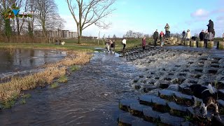 Retentiegebied in Hardenberg loopt vol met overtollig vechtwater [upl. by Anchie]