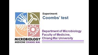 การทดลองที่ 51 Direct and Indirect Coombs test New [upl. by Odrahcir]