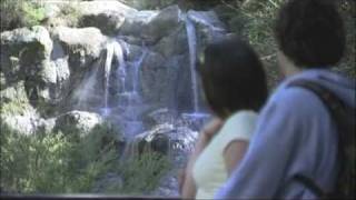 Hells Gate and Wai Ora Spa Rotorua A Guided Tour [upl. by Rabbi]