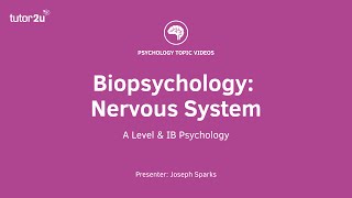 The Whole of AQA A Level Psychology  Revision for Exams [upl. by Ethelbert]