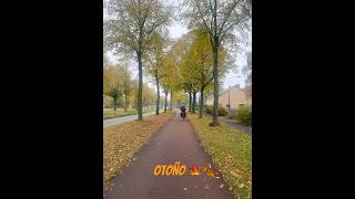 otoño fyp viralvideo [upl. by Toshiko]