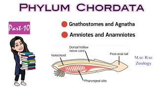 Part10 What are Gnathostomes amp AgnathaDifference between Anamniotes and AmniotesMSc BSc Zoology [upl. by Guillemette]