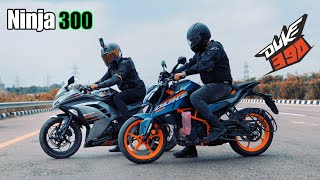 2024 KTM Duke390 vs Ninja 300 Top End Race [upl. by Narcho838]