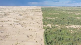 GLOBALink  Planting trees in desert hinterland in Xinjiang China [upl. by Atteloj]