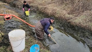 15년만에 물빼보는 옛날시골연못 과연 무엇이 살고있었을까 이무기 초대형장어 [upl. by Atiuqes284]