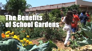 The Benefits of School Gardens [upl. by Francesca626]