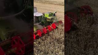 Claas Lexion vs Claas Cosmos 😎😎 agro farming harvest agriculture FlyingPixelsPhotography [upl. by Follansbee]