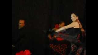 Flamenco  Antequera   fiesta [upl. by Ahsakat]