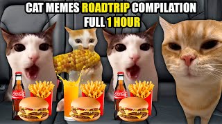 Cat MEMES Roadtrip Compilation Full 1 Hour [upl. by Lally]