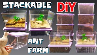 DIY STACKABLE Ant Formicarium  D colony [upl. by Atsahs]