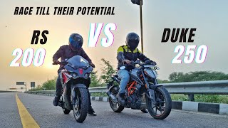 2023 Bajaj Pulsar RS200 Vs Ktm Duke 250  Race Till Their Potential  Full Throttle💪 [upl. by Postman]