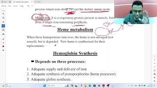 Hemoglobin synthesis and metabolism  Biochemistry of Hematology [upl. by Redfield]