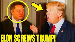 Elon STABS TRUMP In The BACK With SHOCKING Admission [upl. by Daron937]