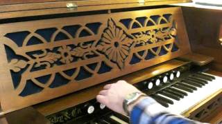 MY 1875 ESTEY REED ORGAN CUSTOMIZED DEMO VIDEO [upl. by Linneman]