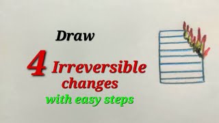 Irreversible changes drawing irreversible changes drawing for EVS burning of paper rotting wood [upl. by Vivica604]